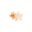 Starfish Stud Earring
